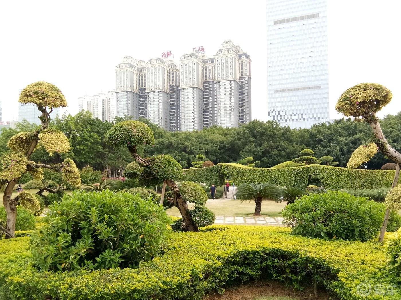 周末携手我的小情人一起游荡南湖公园