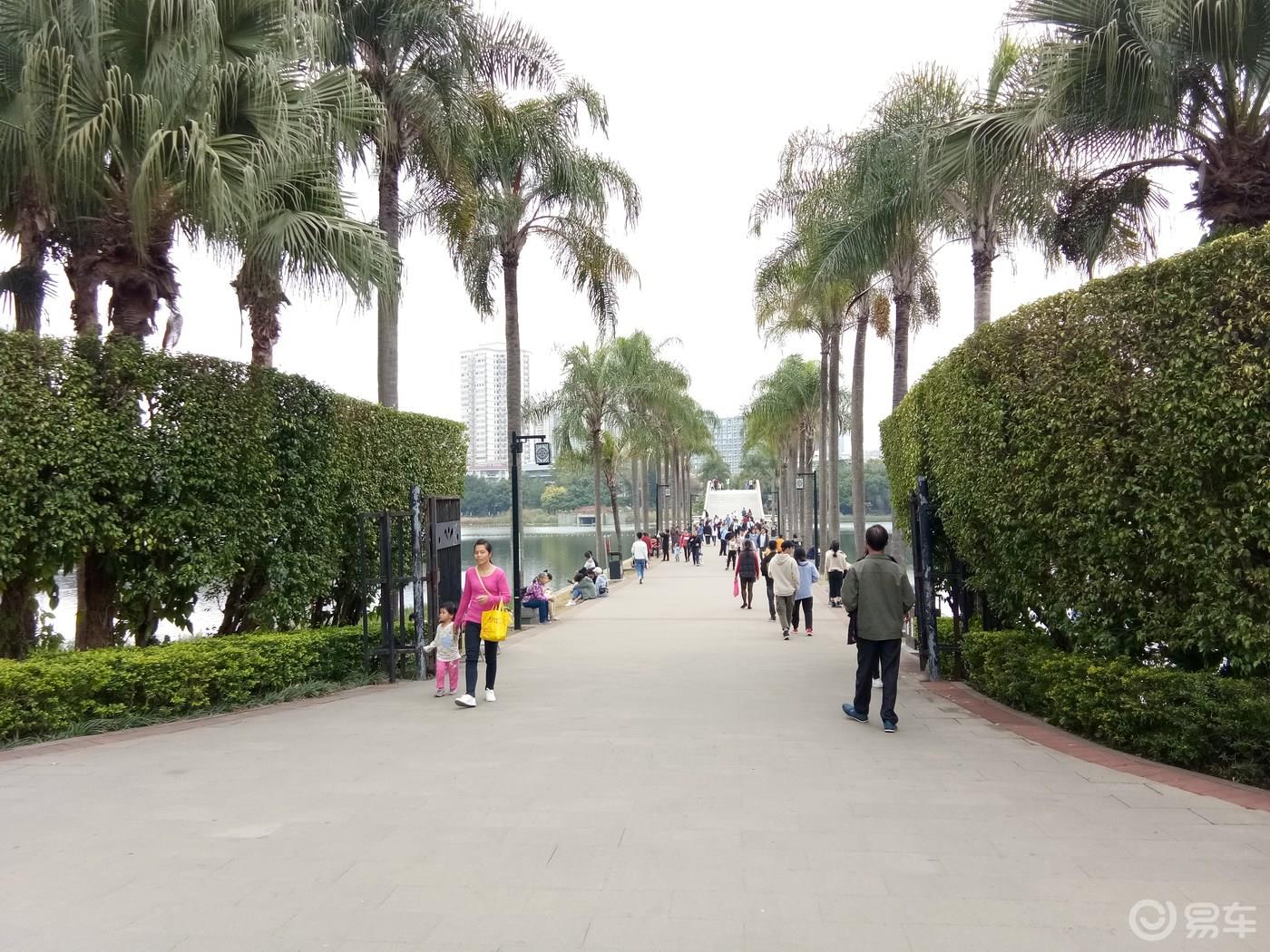 周末携手我的小情人一起游荡南湖公园