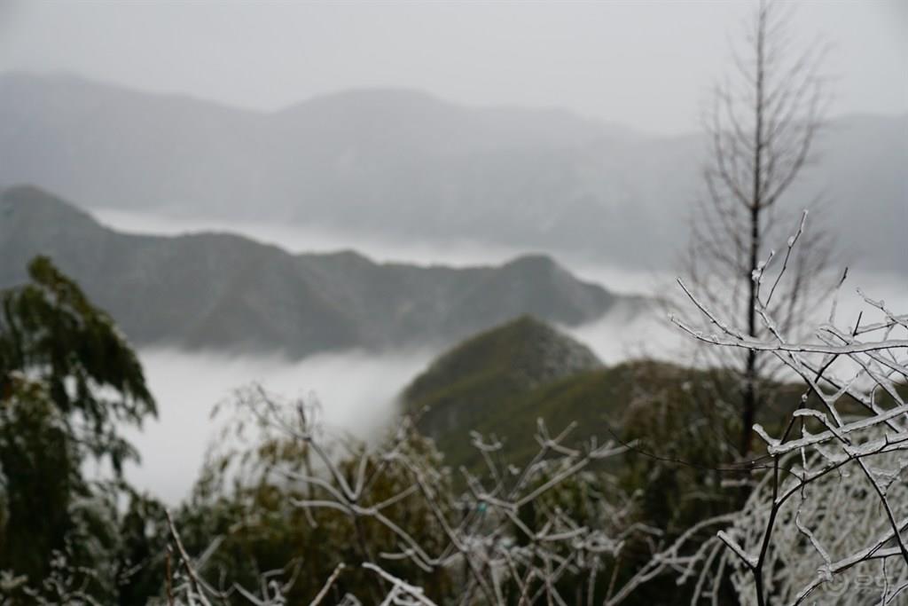 #乐驾新春#“大年初一、天上人间”安吉滑雪乐翻天。