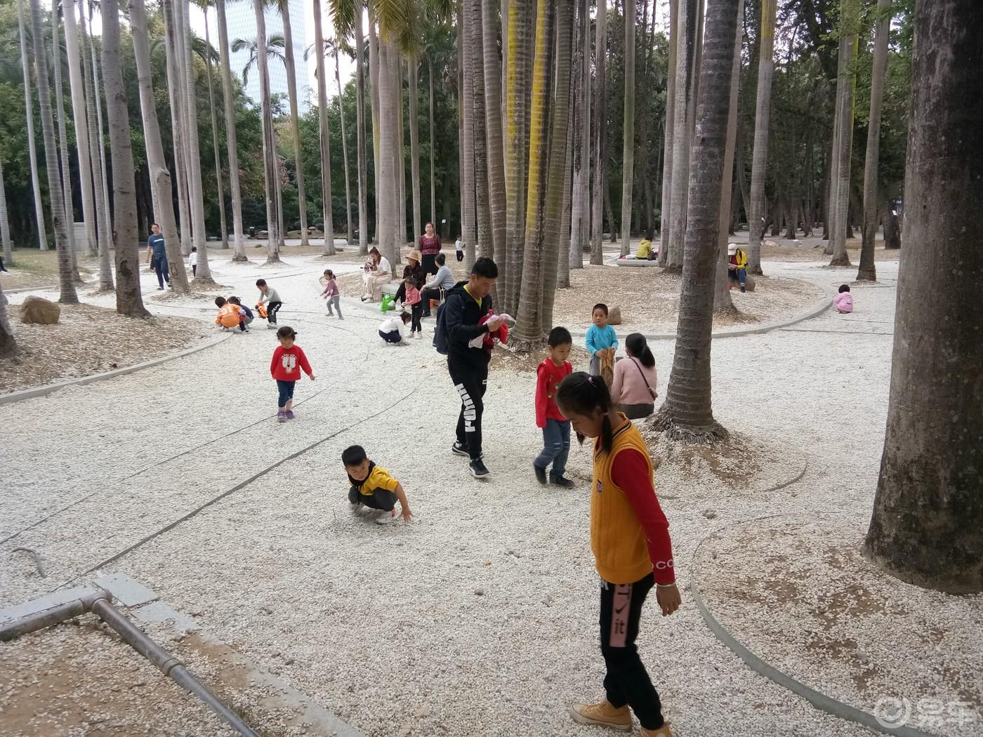 周末携手我的小情人一起游荡南湖公园