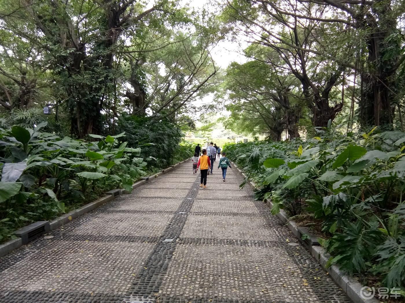 周末携手我的小情人一起游荡南湖公园