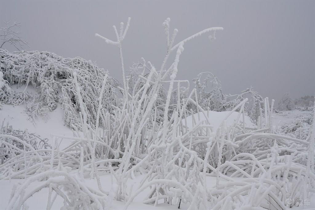 #乐驾新春#“大年初一、天上人间”安吉滑雪乐翻天。