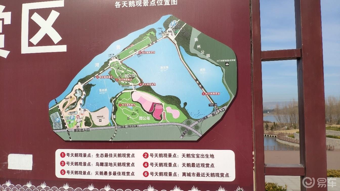 【青青河边草】一日往返行程几百里，就只为一睹天鹅的婀娜多姿和优雅气质