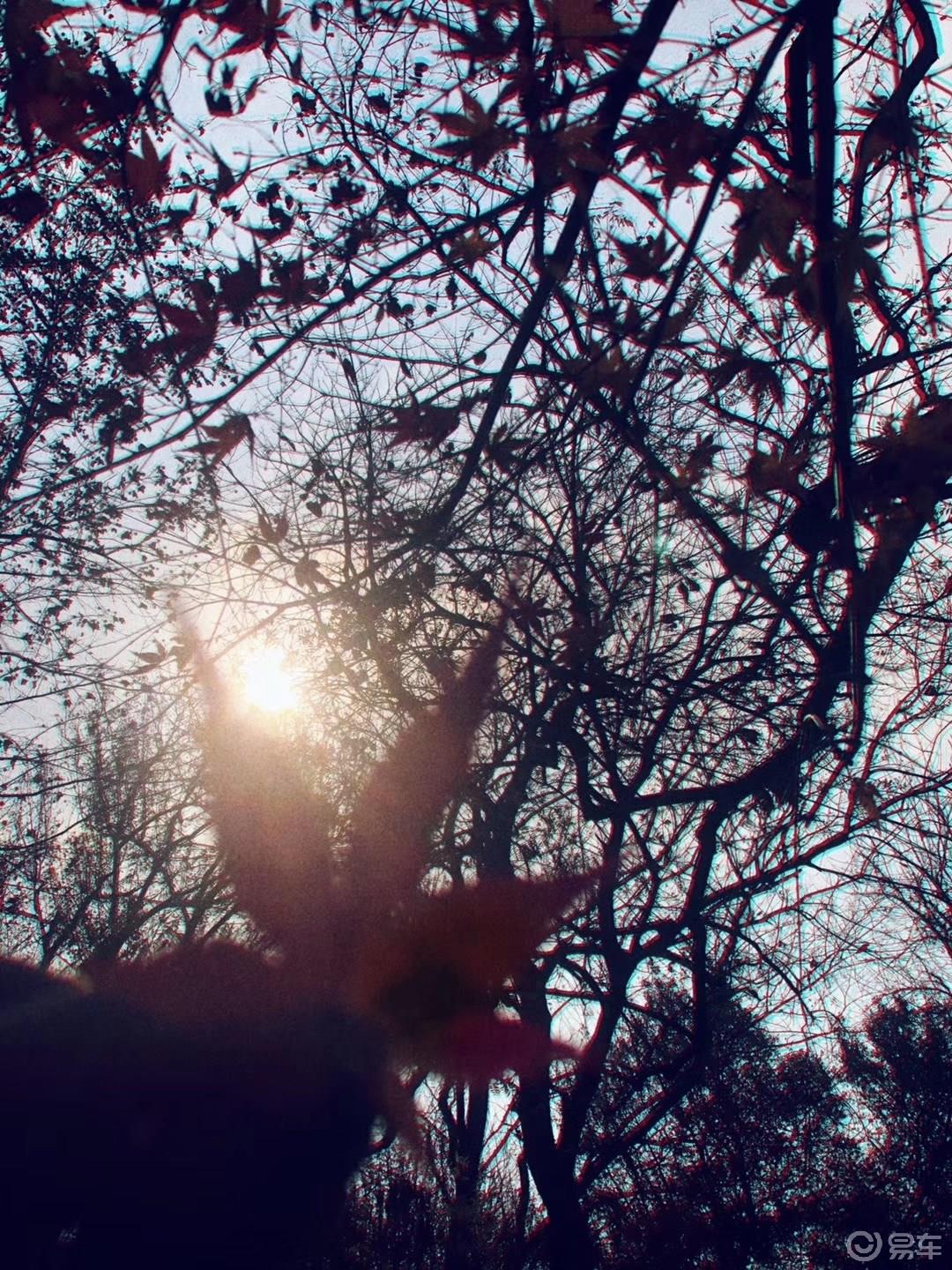 秦淮河畔，漫游南京