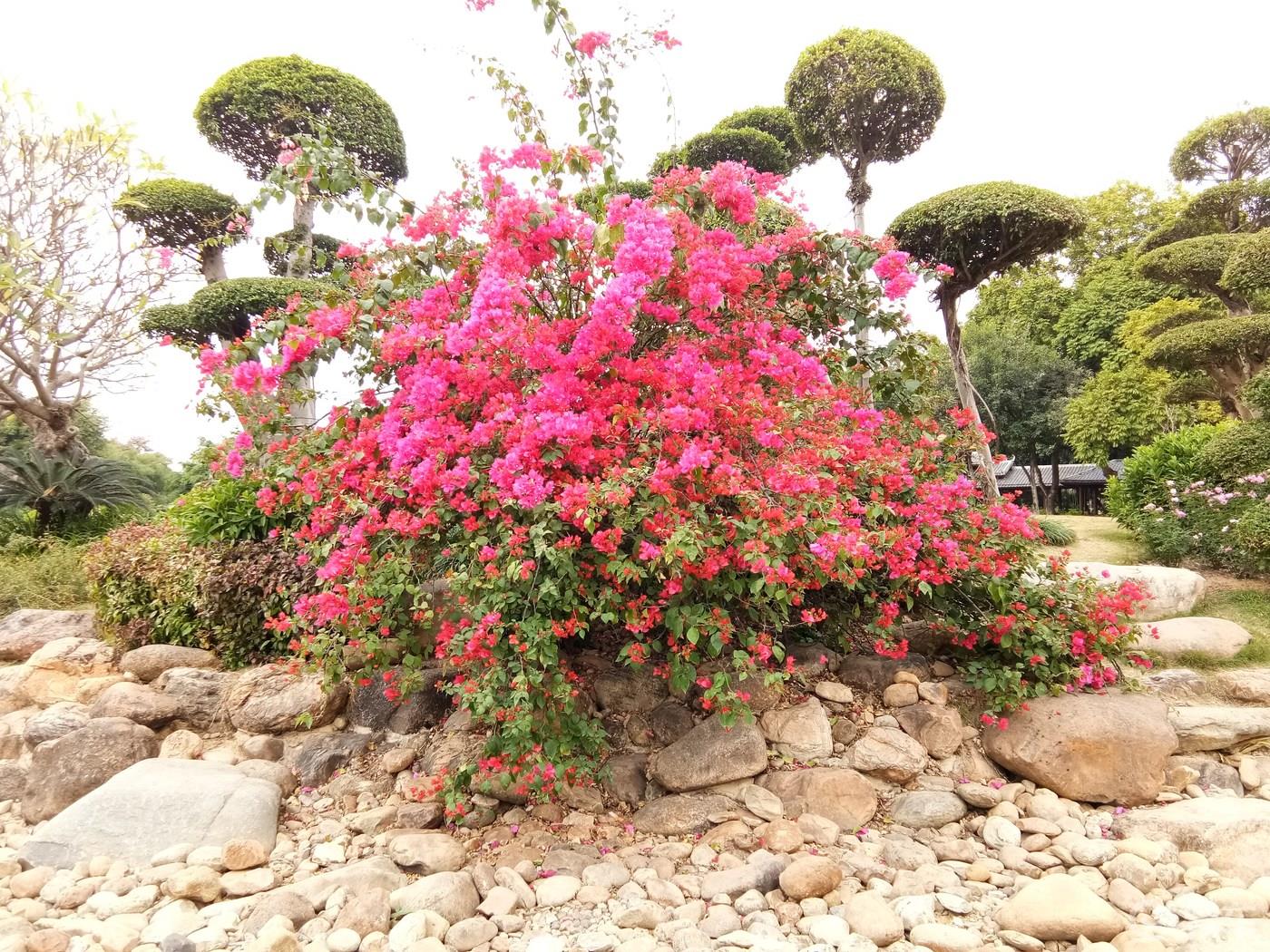 周末携手我的小情人一起游荡南湖公园