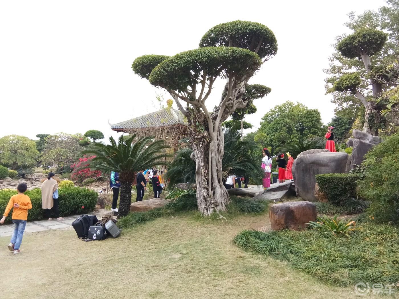 周末携手我的小情人一起游荡南湖公园