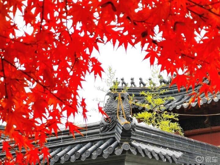 秦淮河畔，漫游南京