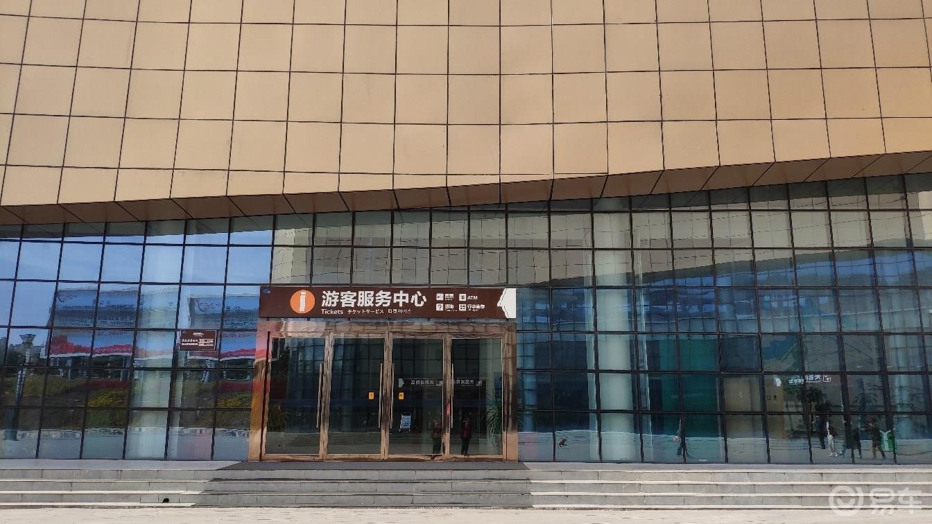 【青青河边草】一日往返行程几百里，就只为一睹天鹅的婀娜多姿和优雅气质