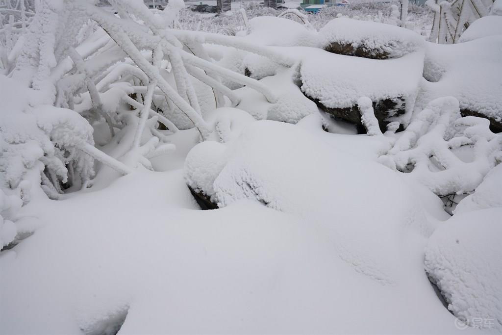 #乐驾新春#“大年初一、天上人间”安吉滑雪乐翻天。