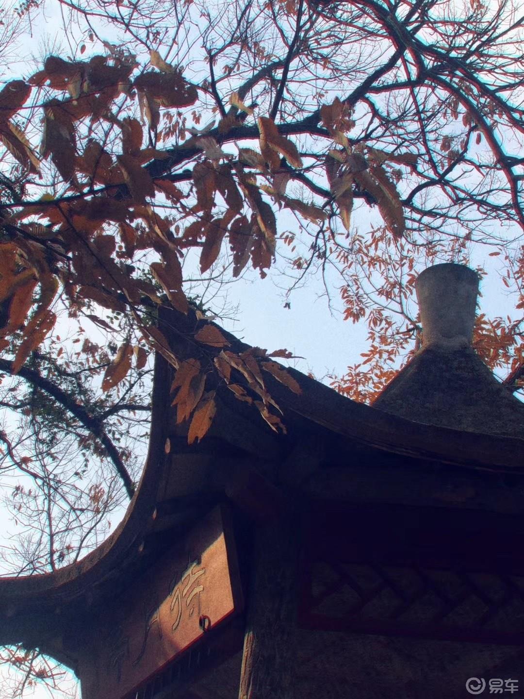 秦淮河畔，漫游南京