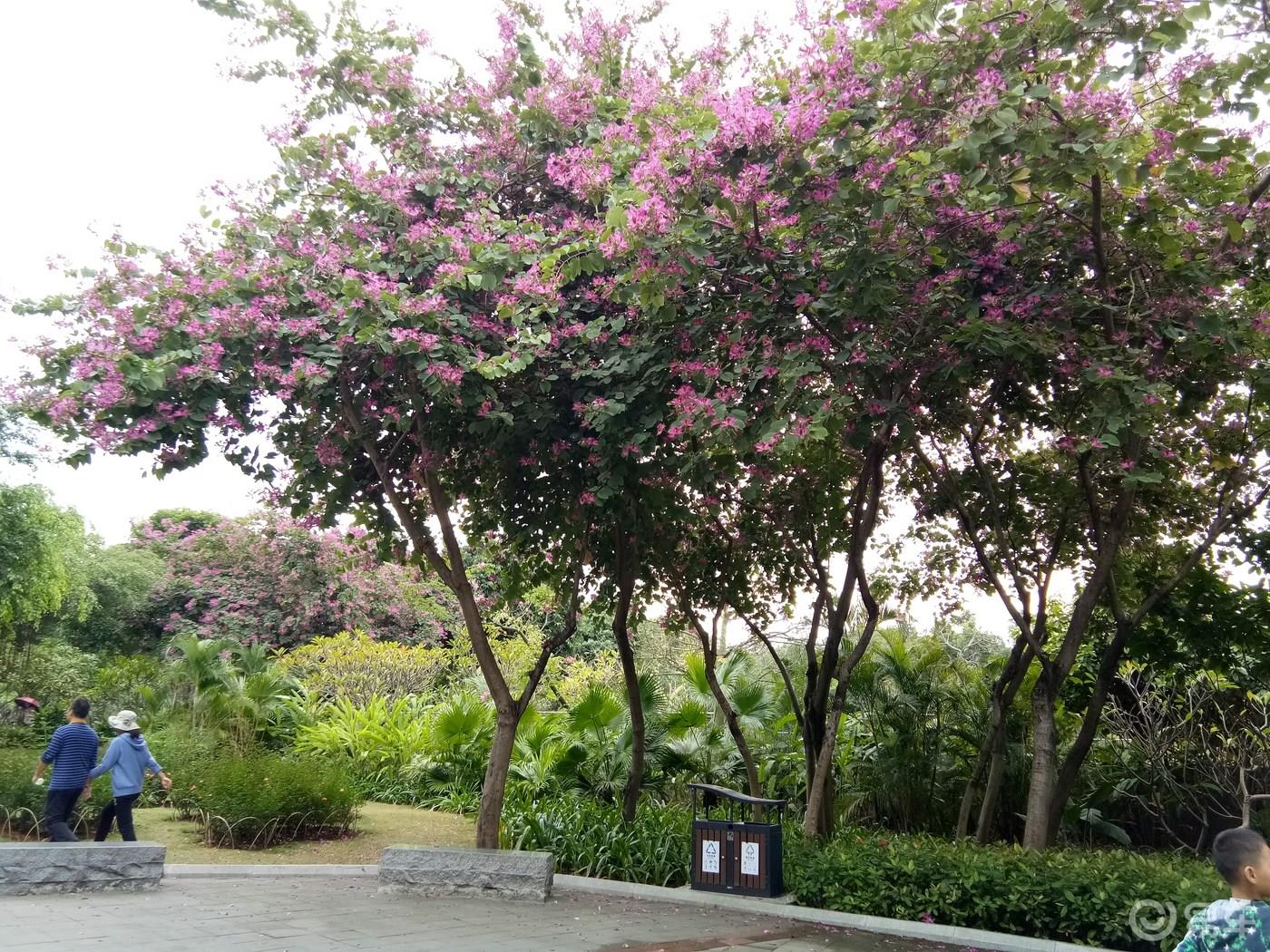 周末携手我的小情人一起游荡南湖公园