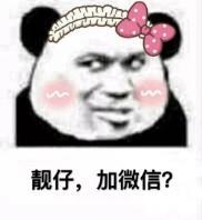 北漂五年喜提爱车，全新秦燃油的颜值和实力让我发出土拨鼠尖叫