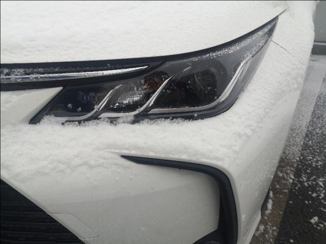 大雪纷飞，我和小卡有个约定！