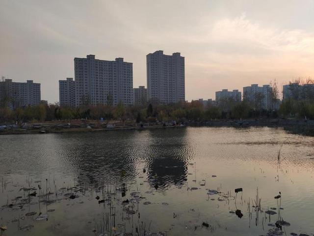 外观年轻时尚 述与大唐用车感受