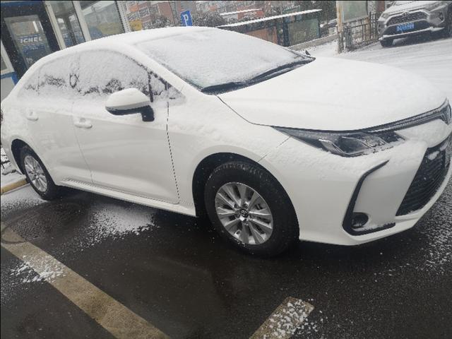 大雪纷飞，我和小卡有个约定！