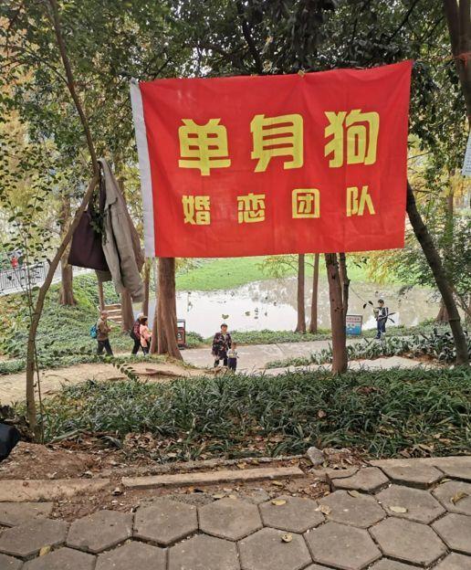 颜值在线 多方对比后选CS35PLUS