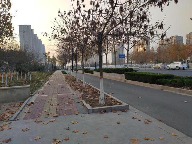 外观年轻时尚 述与大唐用车感受