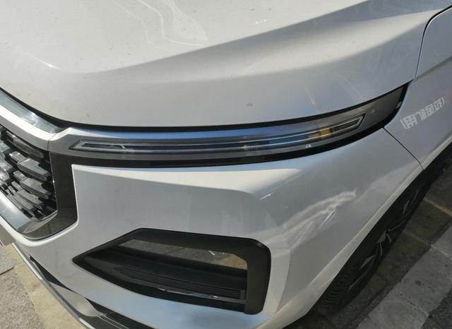 不到8万提了一辆全球车，6个VIP座位，出自大厂，还是外交官座驾