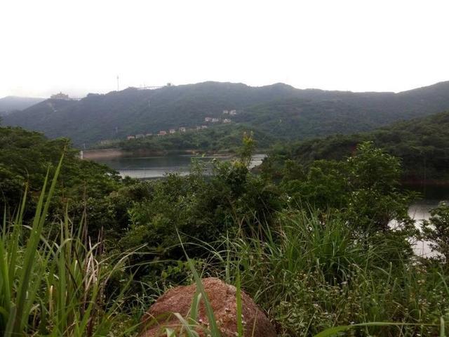 与炫彩翼博 和我一起奔跑在路上