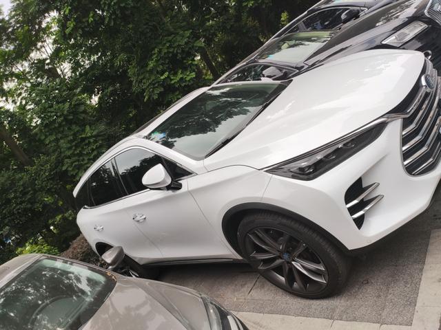 （深度体验）唐DM提车作业，自己选车、提车、用车、体验、油耗
