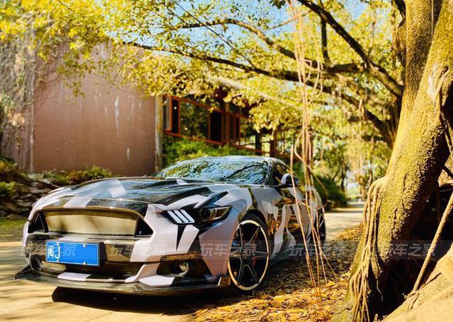 野驴变野马 宁德车友的迷彩二阶Mustang改装之路