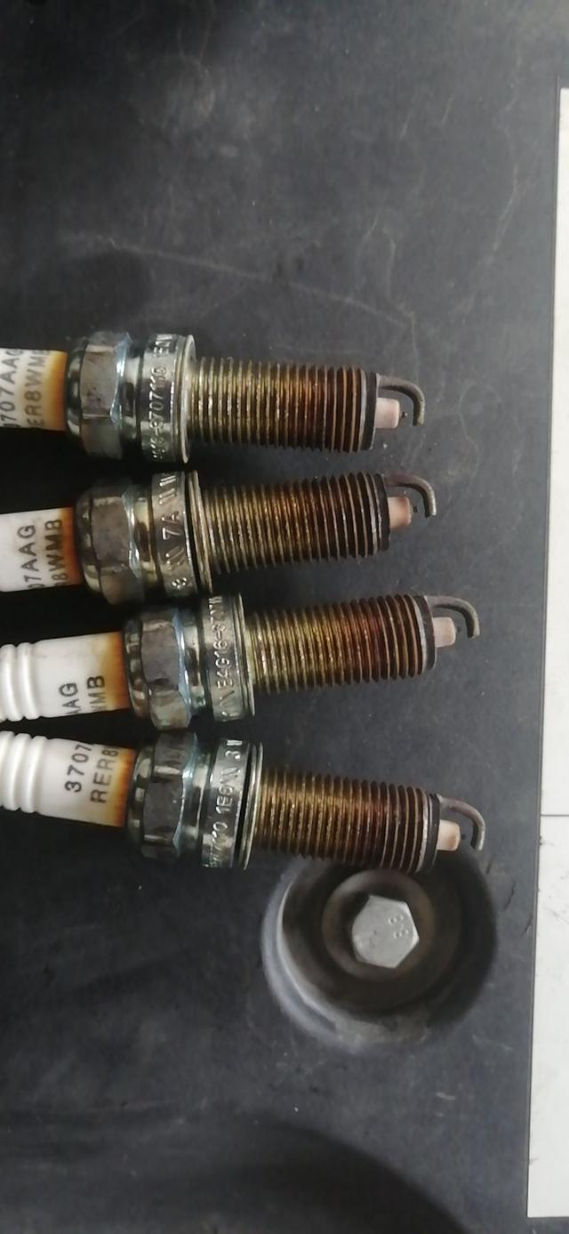 与炫彩翼博 和我一起奔跑在路上