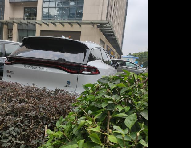 （深度体验）唐DM提车作业，自己选车、提车、用车、体验、油耗