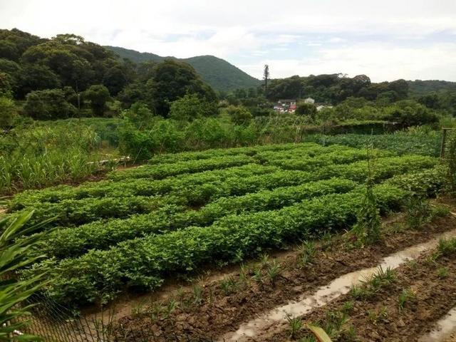 与炫彩翼博 和我一起奔跑在路上