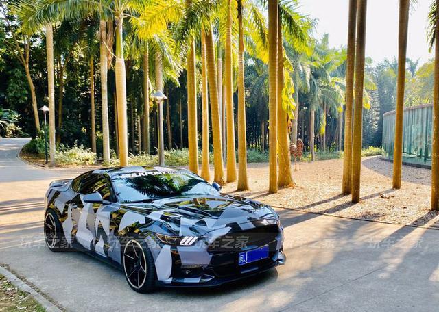 野驴变野马 宁德车友的迷彩二阶Mustang改装之路