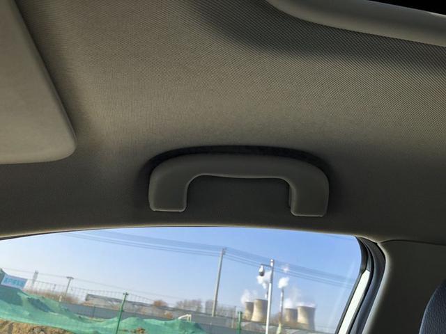 乐在其中 与科鲁泽走向幸福路