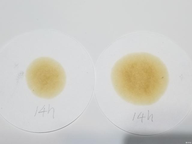 没有大毛病，5年开了64000公里，奔驰E260L用车心得分享