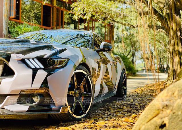 野驴变野马 宁德车友的迷彩二阶Mustang改装之路