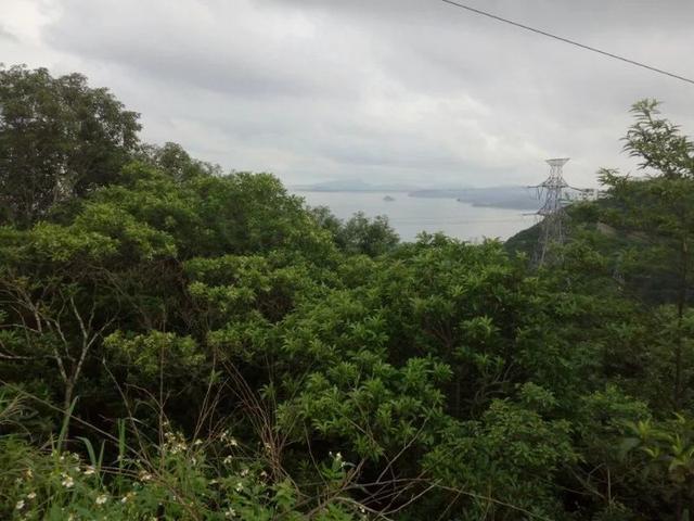 与炫彩翼博 和我一起奔跑在路上