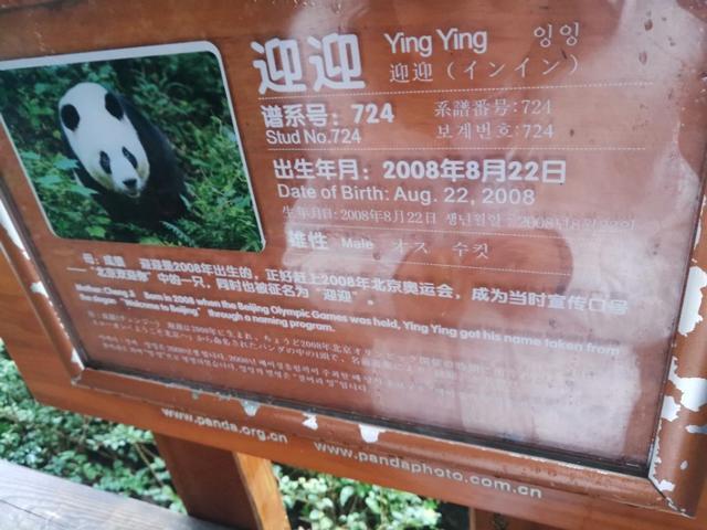 领克01与媳妇自驾一直南下！