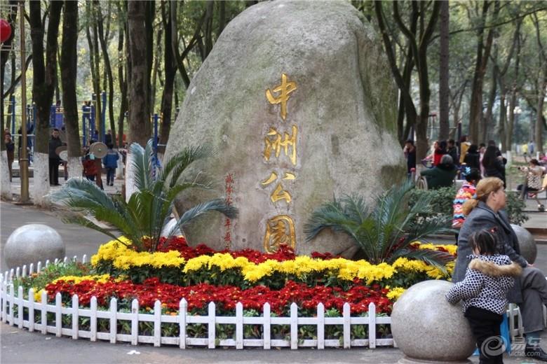 【小寒之行】寒冷的冬季，热闹非凡的中州公园