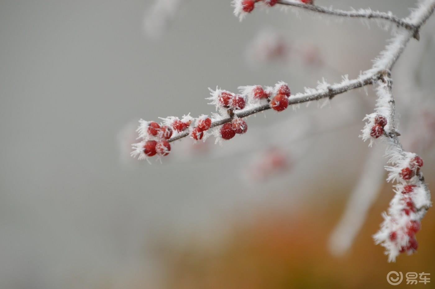 人生到处知何似  应似飞鸿踏雪泥