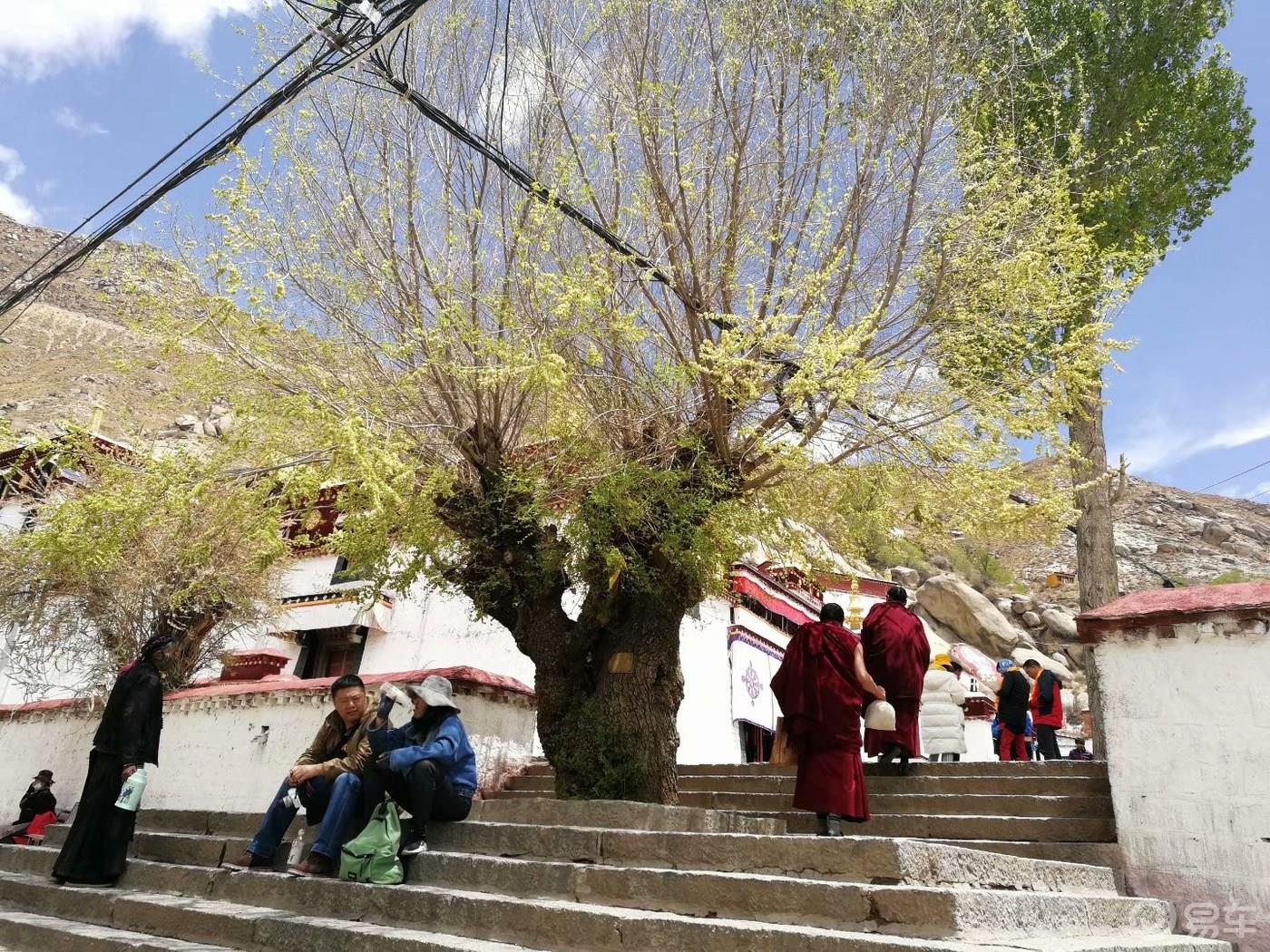 《迈腾篇》川西大结局（拉萨），六个人的“西游记”