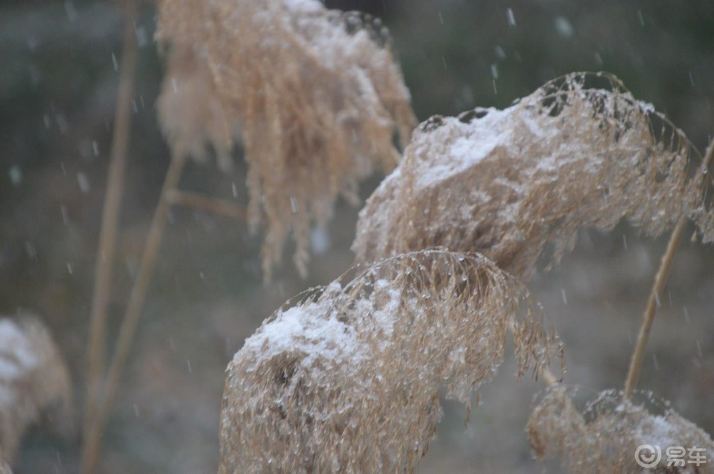 人生到处知何似  应似飞鸿踏雪泥