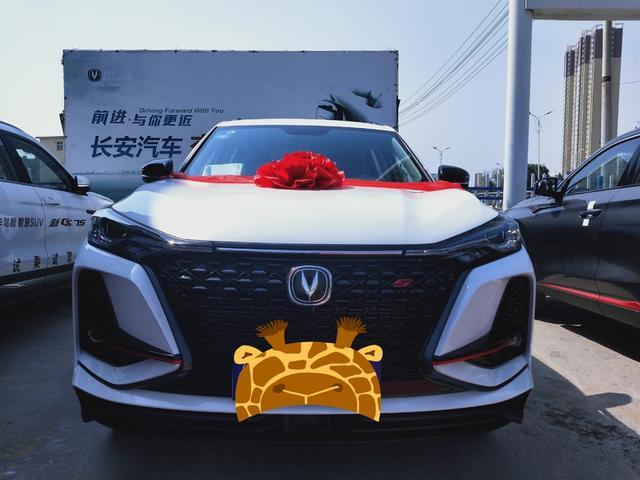 钟情外观 浅谈75P提车用车