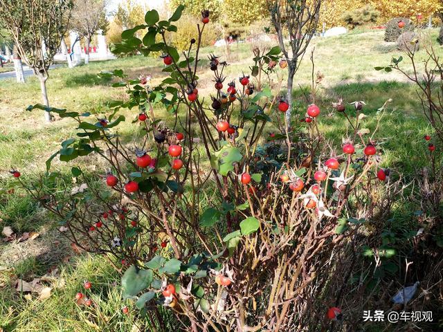临近春节，我提了风神AX7，村里人说还不如去买哈弗H6