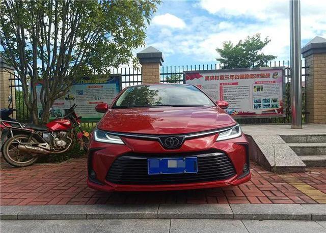 感谢小卡的陪伴