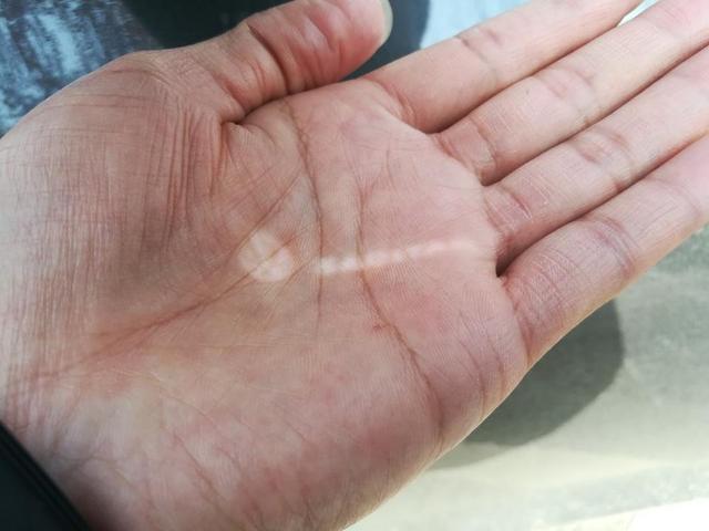 看来看去还是锁定德系，大众速腾提车作业，速腾比朗逸强多了？