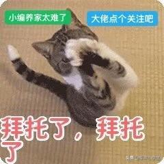 2021款本田雅阁混动版：轻奢运动样样棒，年轻就要不一样