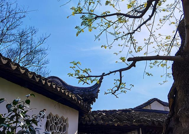 原来浅色是这么清爽提档次 比亚迪汉EV浅内饰发布