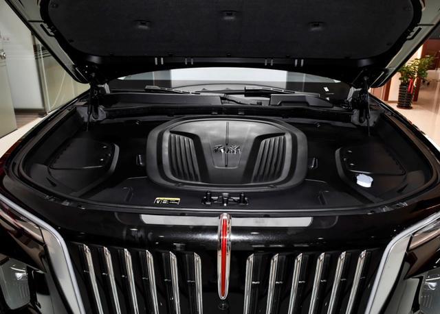 轴距3110mm的红旗E-HS9，55万很贵但有人觉得很值