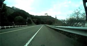 麋鹿测试有多重要？为什么各大媒体都抓着麋鹿成绩不放？