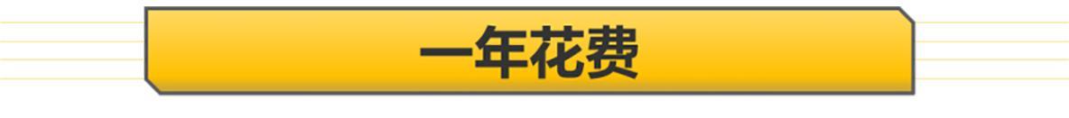 1公里8毛 油耗是亮点 宋PLUS DM-i用车成本