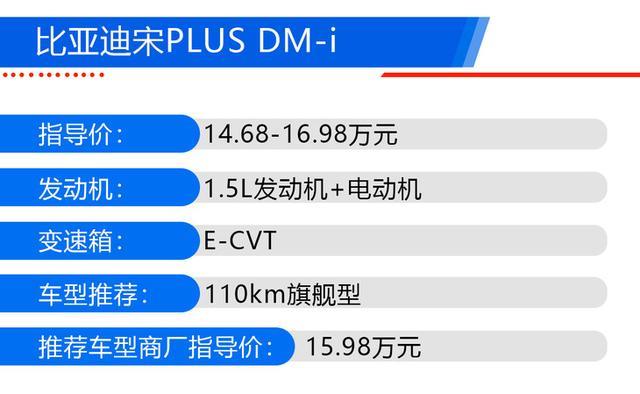 比亚迪宋PLUS DM-i购车手册 110km旗舰型性价比高