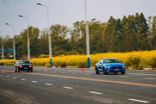 美国往事重现，集齐Mustang、科迈罗、挑战者血战街头