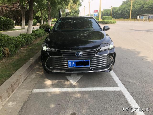 春暖花开，一如既往的陪伴，守护